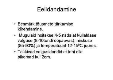 Eritaimekasvatus #49