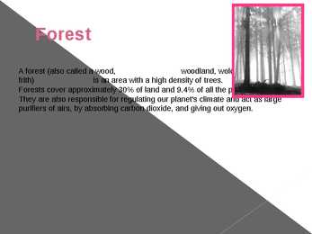 Different types of forests and their forms of usage #2