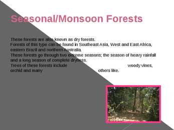 Different types of forests and their forms of usage #13
