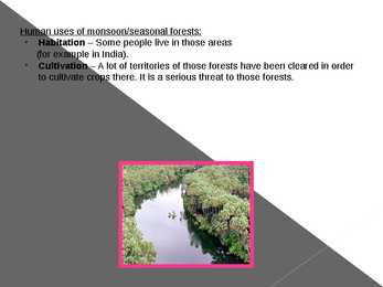 Different types of forests and their forms of usage #14