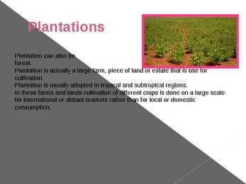 Different types of forests and their forms of usage #15