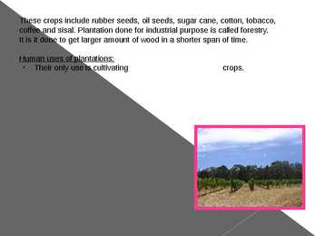 Different types of forests and their forms of usage #16