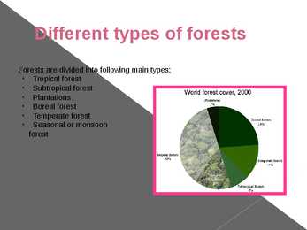 Different types of forests and their forms of usage #3