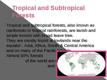 Different types of forests and their forms of usage #4