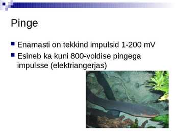 Bioelekter Esitlus #8