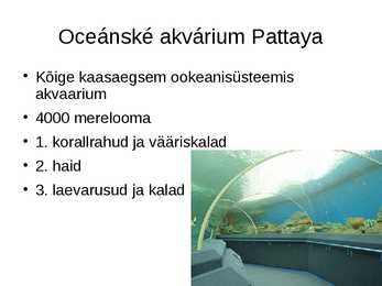 Pattaya turismiobjektid #8