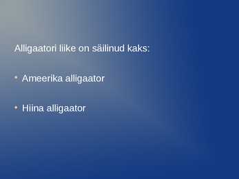 Slaidishow alligaatoritest #2