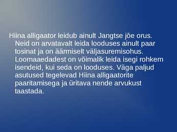 Slaidishow alligaatoritest #8