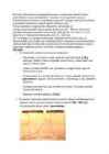 Lipiidide reaktsioonid-karotenoidide identifitseerimine #6