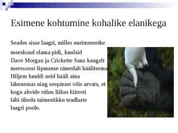 Kogu tõde simpansidest #3