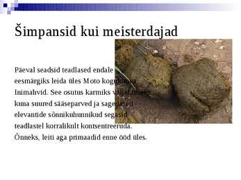 Kogu tõde simpansidest #7