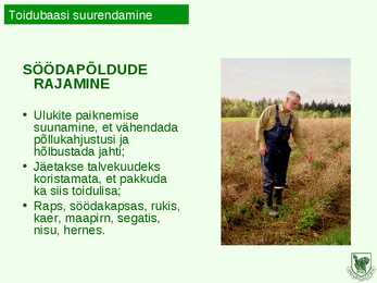 ULUKIHOOLE #6