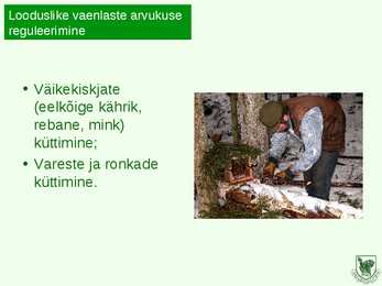 ULUKIHOOLE #9