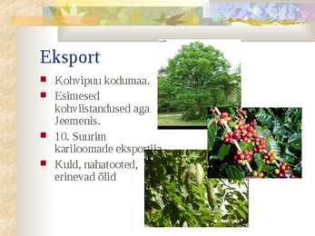 Etioopia- slaidid- #6