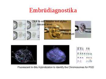 Molekulaargeneetiline diagnostika #4