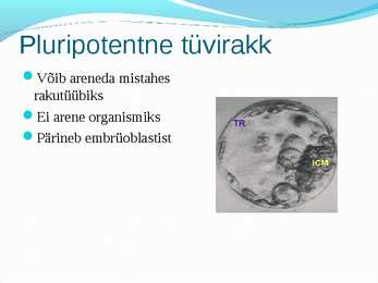 Tüvirakud ja rakuteraapia #5