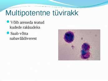 Tüvirakud ja rakuteraapia #6