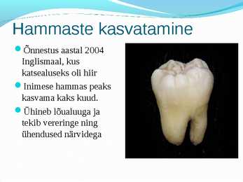 Tüvirakud ja rakuteraapia #8