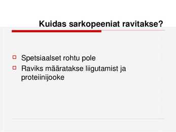 Sarkopeenia #26