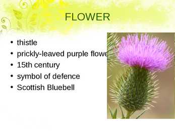 Presentation about Scotland National Symbols #4