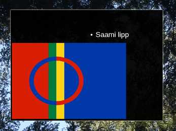 Saamid- Powerpoint- #5