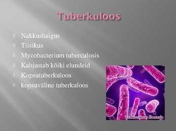 Tuberkuloos- slaidid- #2