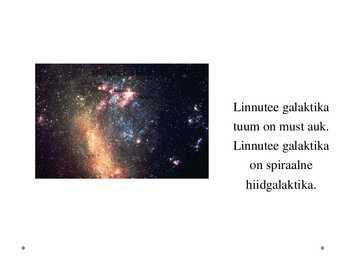 Linnutee- slaidid- #4