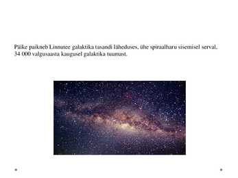 Linnutee- slaidid- #5