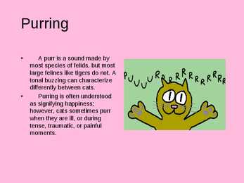 Animal communication - CATS #4