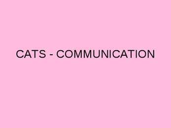 Animal communication - CATS