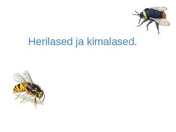 Herilased & Kimalased