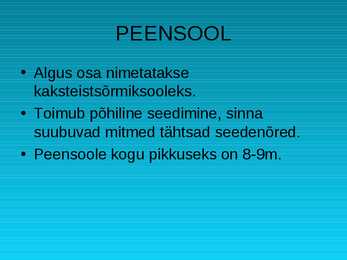 Seedeelundkonna ehitus #7
