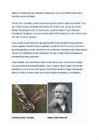 James Clerk Maxwell-referaat #4