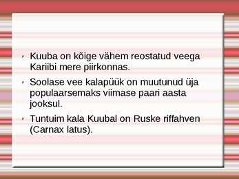 Kuuba #17