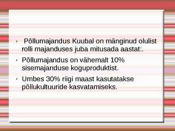 Kuuba #10