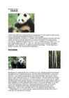 Hiidpanda referaat #2