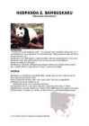 Hiidpanda referaat