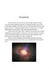 Must Auk #2