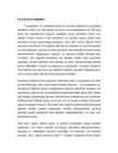 Nimetu #7