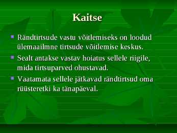Power point - Rändtirtsud #7