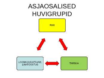 Rimi liha juhtumi analüüs #4