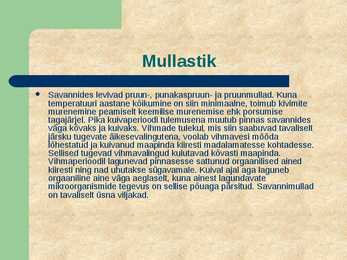 Savann PowerPoint #6