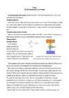 Essee-Termodünaamika 2-printsiip