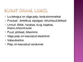 Maarja Kangro #5