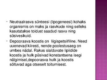 Rasvad- slaidid- #13