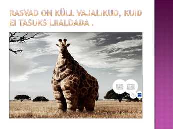 Rasvad- slaidid- #19