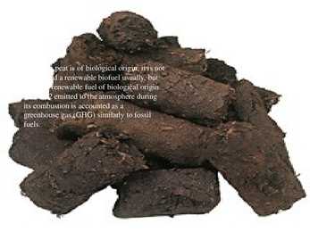 Manual For Bio-fuels #13