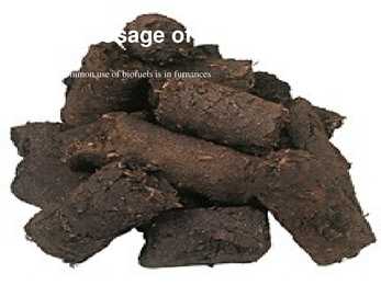 Manual For Bio-fuels #16