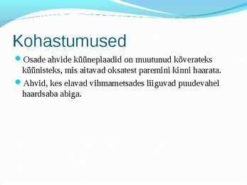 Esikloomalised #5