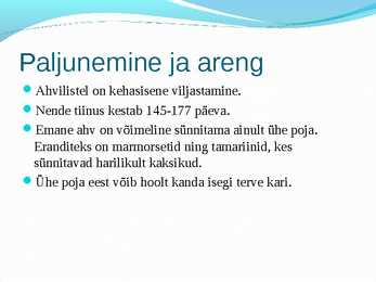 Esikloomalised #7